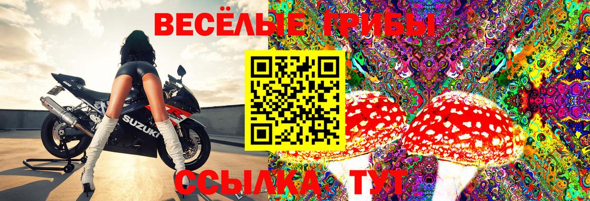 Грязи  Псилоцибиновые грибы Psilocybine cubensis  Вход с VPN 